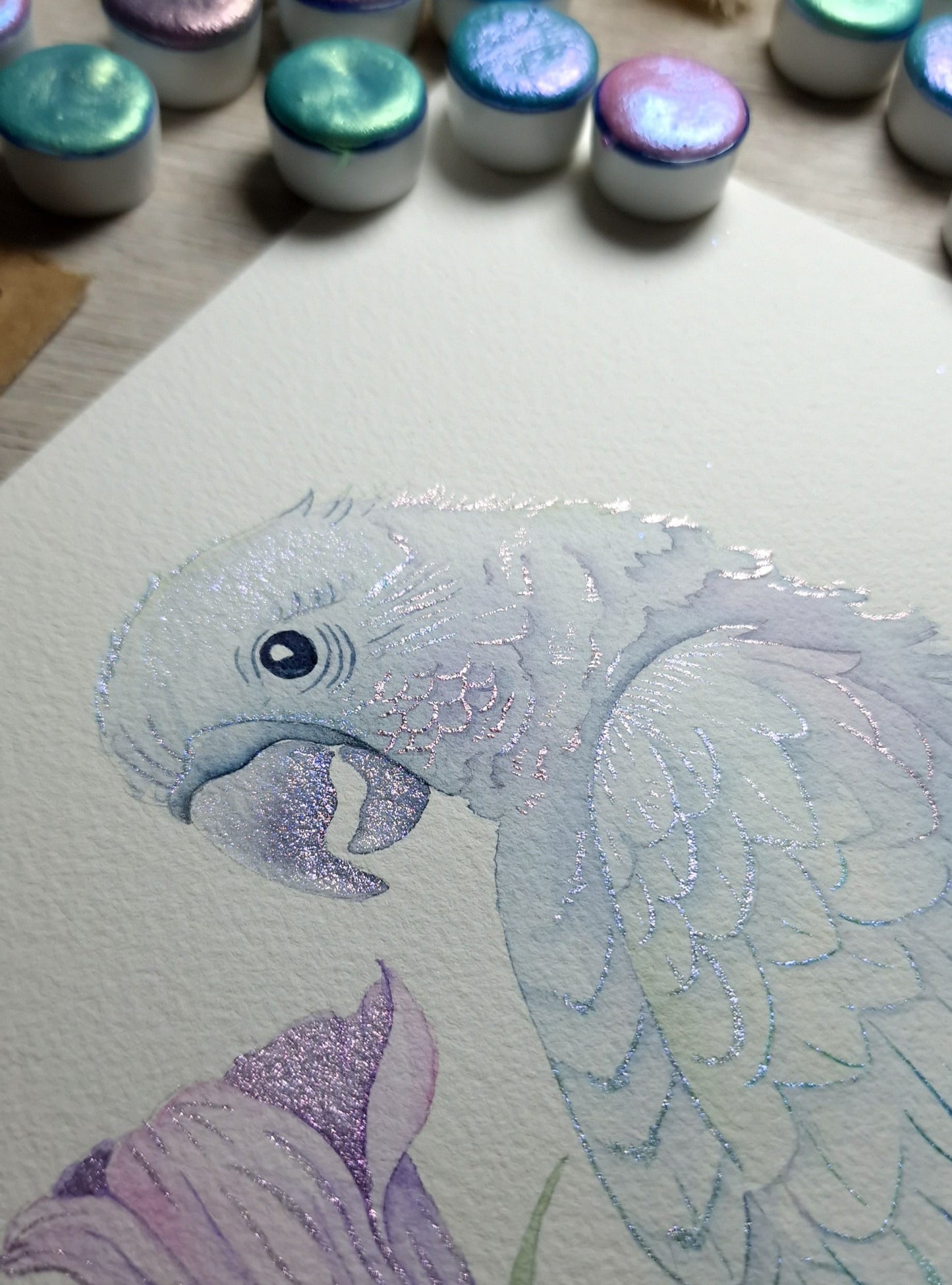 Loriquet - Godet d'aquarelle | aquarelle artisanales fabriquée à la main | peinture magique | peinture coloriage adulte