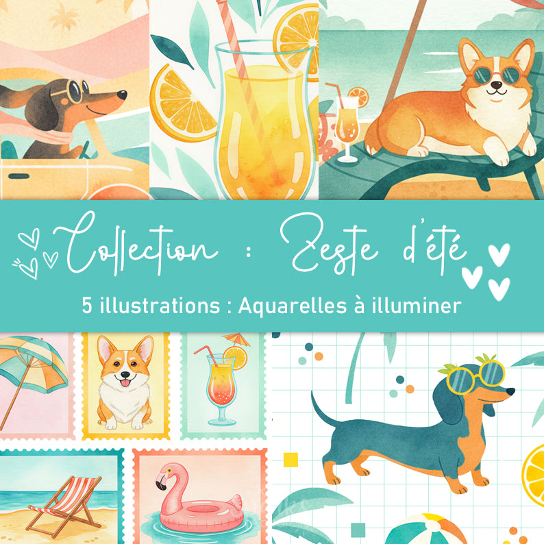 Collection Zeste d'été : illustrations à pailleter