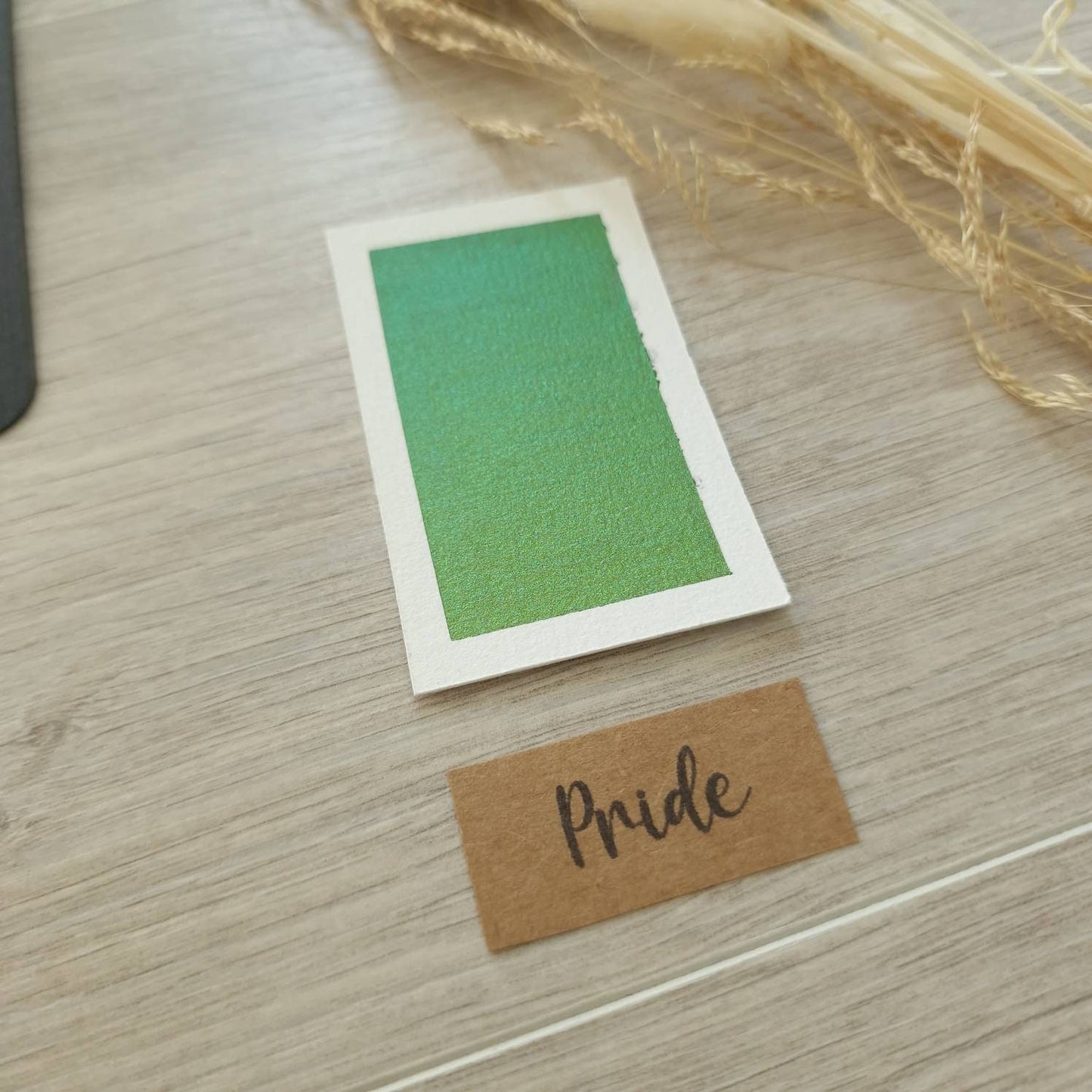 Pride - Quart de godet d'aquarelle super caméléon