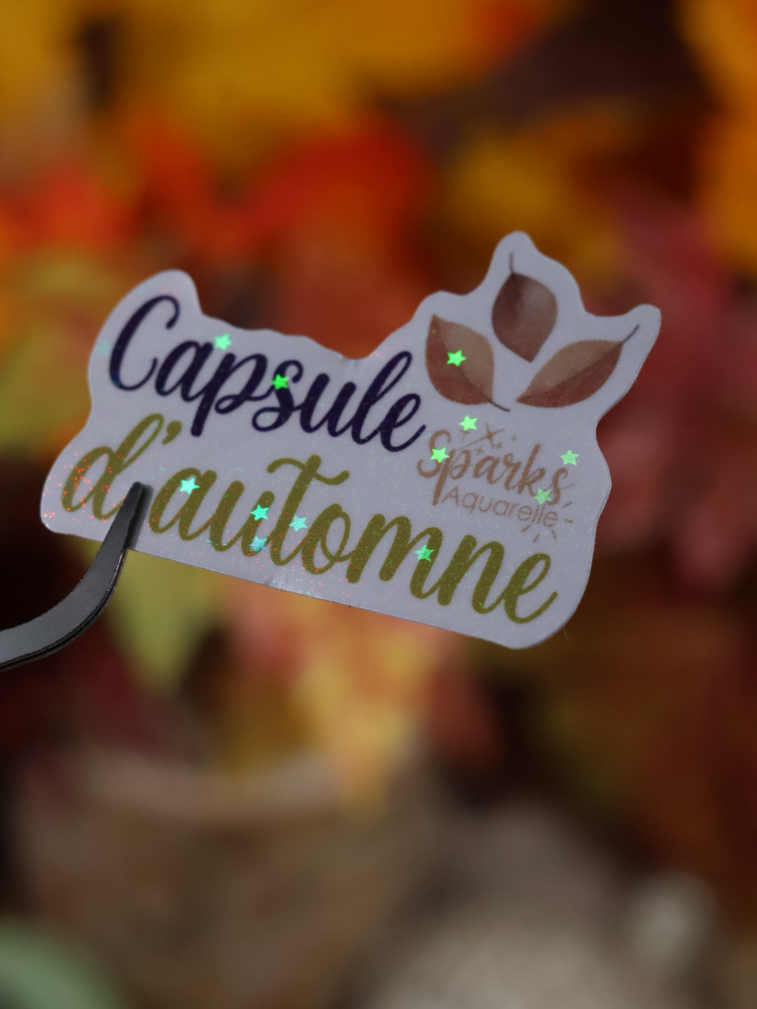 Sticker pailleté pour palette d’aquarelle ✨- Capsule d'automne - décoration palette peinture artistique