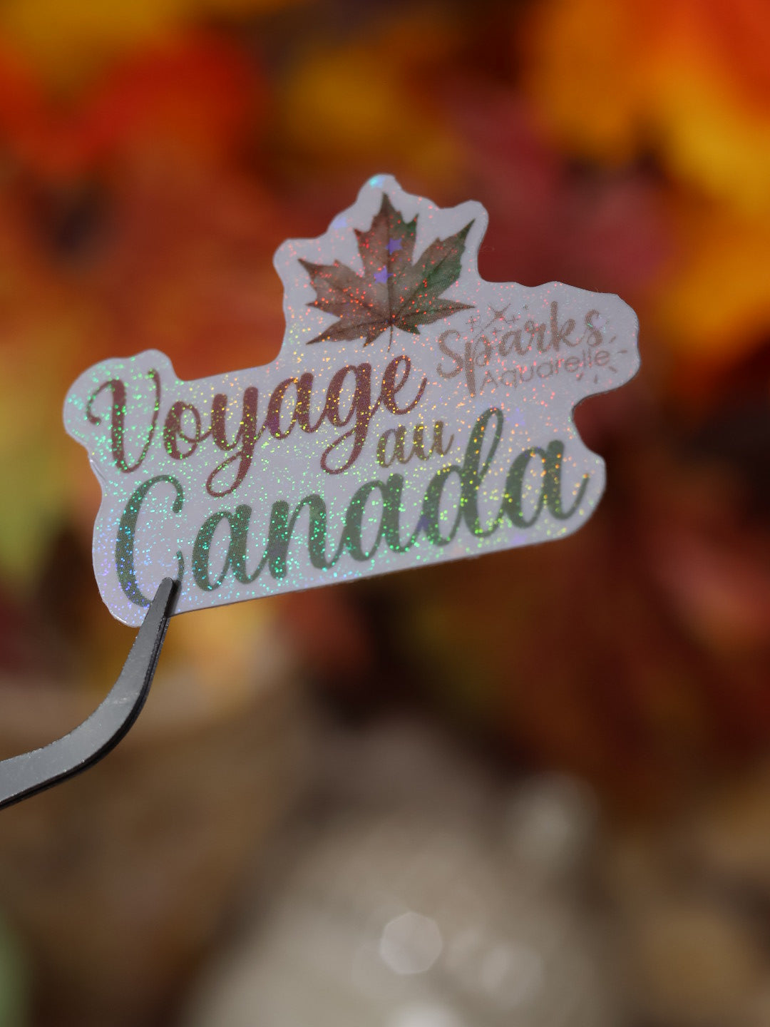 Sticker pailleté pour palette d’aquarelle ✨- Voyage au Canada - décoration palette peinture artistique