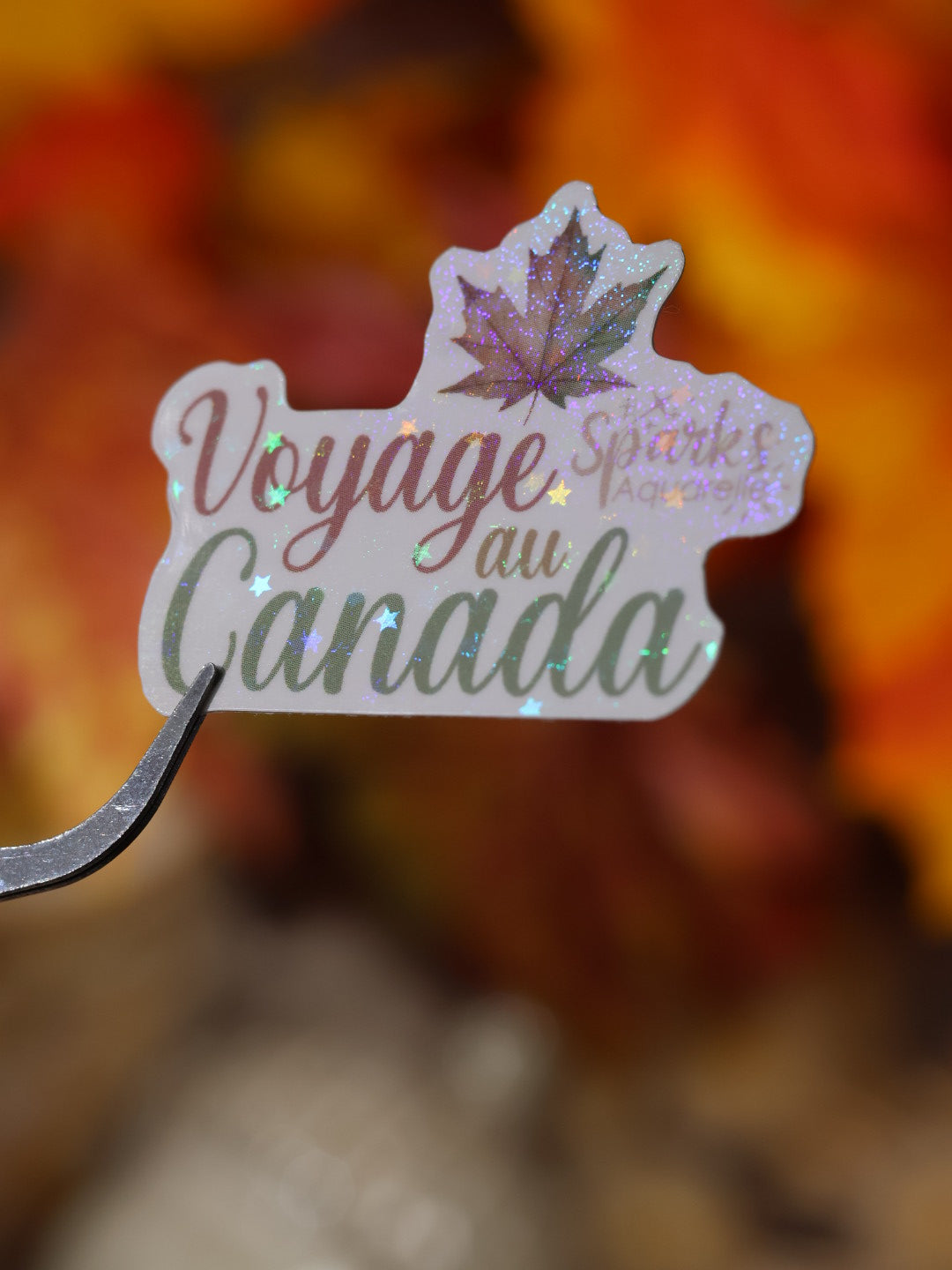 Sticker pailleté pour palette d’aquarelle ✨- Voyage au Canada - décoration palette peinture artistique